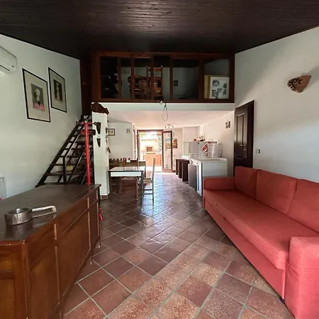 Harmony House Homestay Syracuse